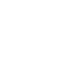 logo Campus ISV NDSC
