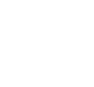 logo Campus ISV NDSC
