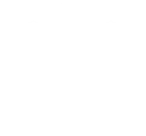 logo Campus ISV NDSC